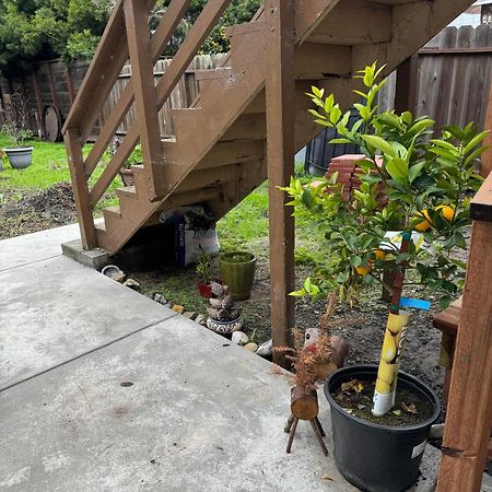 Bumblebee House Apartment Oakland Exterior foto