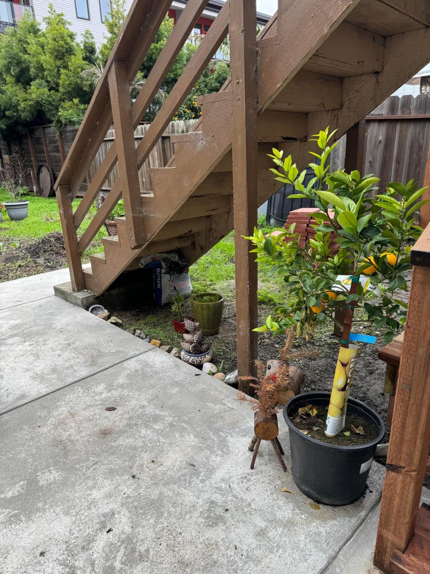 Bumblebee House Apartment Oakland Exterior foto